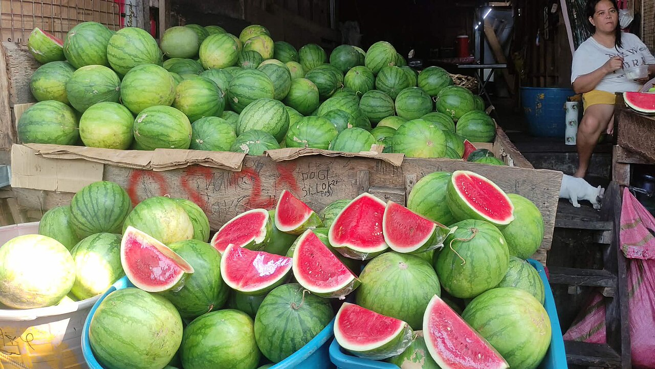 This outdoor eye-level shot captures a bountiful display of fresh watermelons at a local market stall, featuring large piles of whole green striped melons stacked neatly in wooden crates. In the foreground, several watermelons are sliced open to reveal their vibrant, juicy red flesh and dark seeds, arranged nicely in blue containers. A vendor sits relaxed in the background on the right, while a small white cat rests nearby on the steps. The natural lighting highlights the rich colors and textures of the tropical fruit, creating an authentic and lively atmosphere characteristic of regional everyday commerce and marketplace activity.. Original file: [Fresh Watermelons Stacked.jpg](https://commons.wikimedia.org/wiki/File%3AFresh_Watermelons_Stacked.jpg). Creator: PAULIX04. License: CC BY-SA 4.0 (https://creativecommons.org/licenses/by-sa/4.0). Attribution: PAULIX04. Downloaded from the verified Commons file page; unaltered image. Checked 2026-10-25.