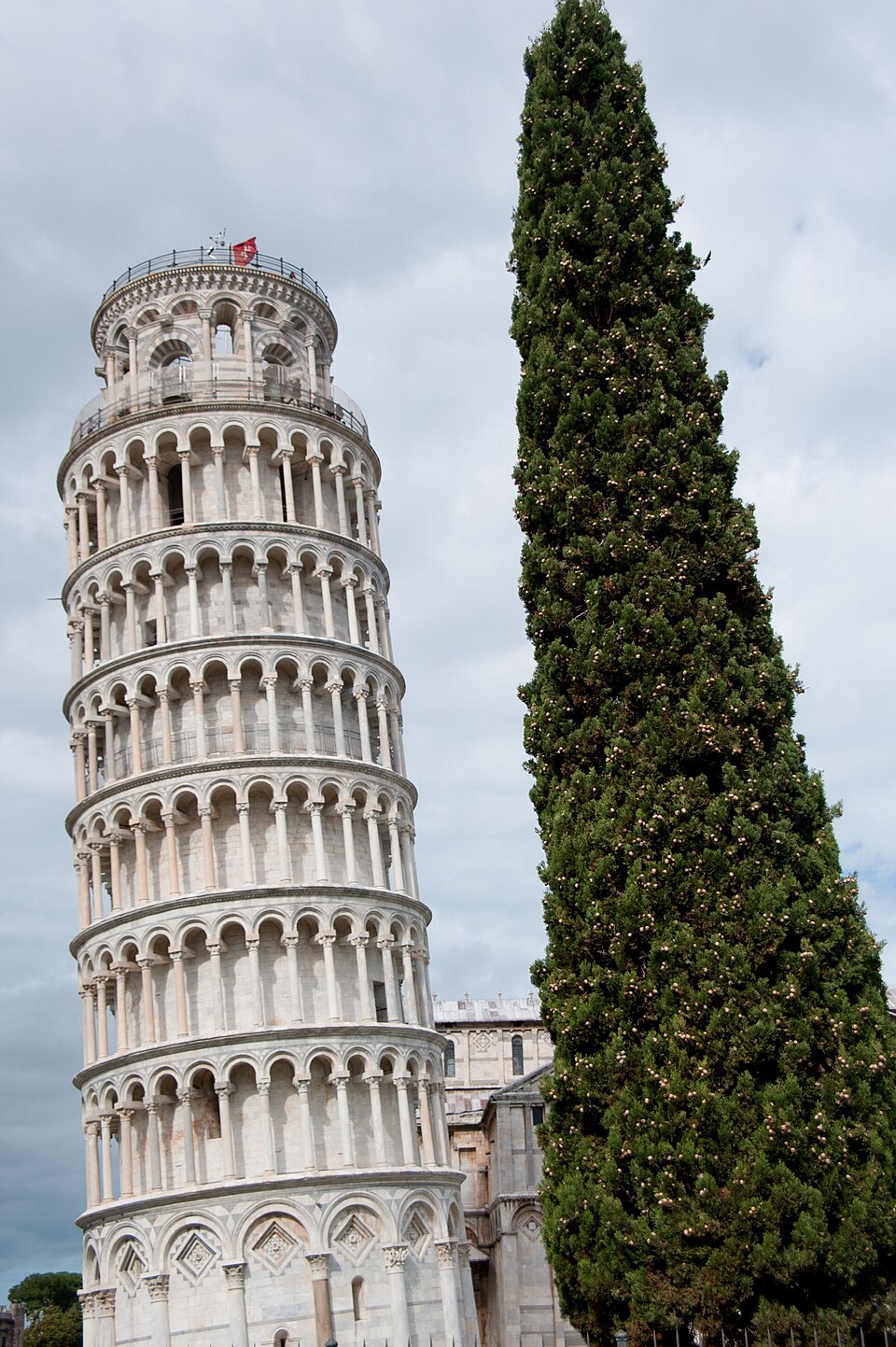 tower beside a cypress in Piazza dei Miracoli, photographed in 2012.