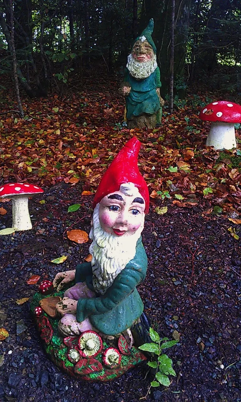 documentary photograph of a single garden gnome at the Gnome Reserve in Devon, October 2015; not Ann Atkin and not a view of her complete collection. Original page: https://commons.wikimedia.org/wiki/File:Garden_Gnome_at_Gnome_Reserve.jpg. Creator Ethan Doyle White. CC BY-SA 3.0 (https://creativecommons.org/licenses/by-sa/3.0/). Attribution: Ethan Doyle White, “Garden Gnome at Gnome Reserve,” CC BY-SA 3.0, via Wikimedia Commons. Original JPEG, unchanged.