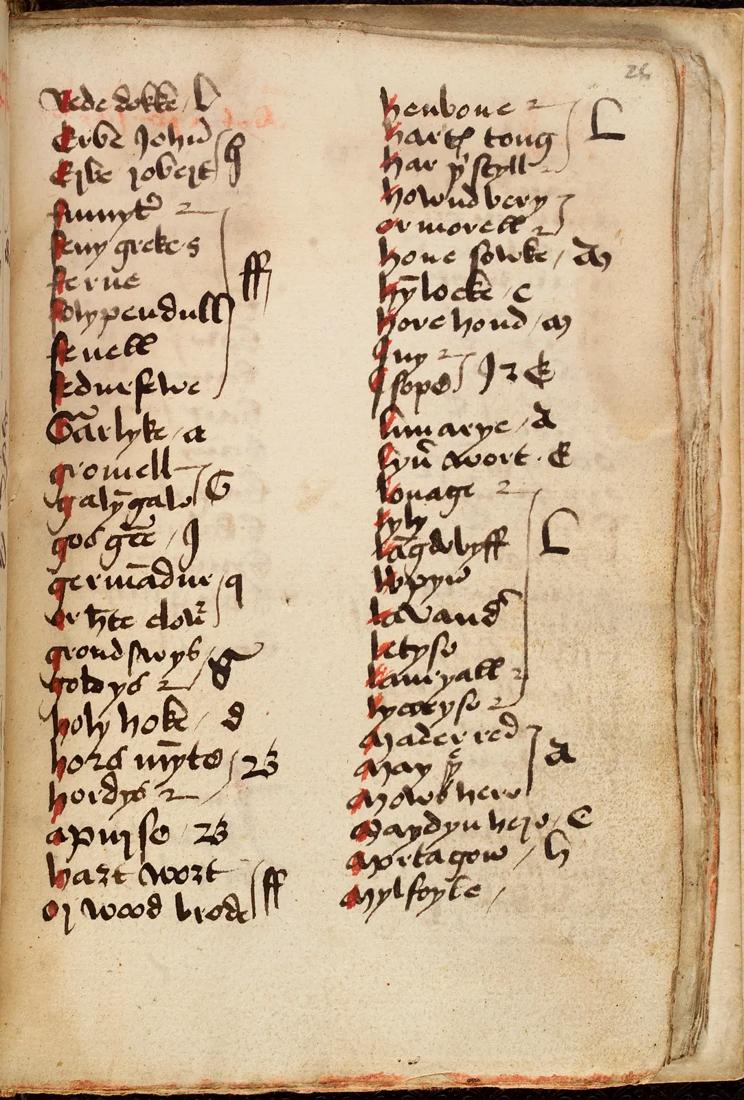 Page of a 15th-century Leech-Book, Wellcome Collection, library reference WMS MS. 406, photo L0034194. CC BY 4.0. Credit: Wellcome Collection. Wikimedia Commons: https://commons.wikimedia.org/wiki/File:Page_of_Gothic_text_from_a_15th_century_Leech-Book_Wellcome_L0034194.jpg. It illustrates medieval leech-related medical writing, not the Lausanne rite.