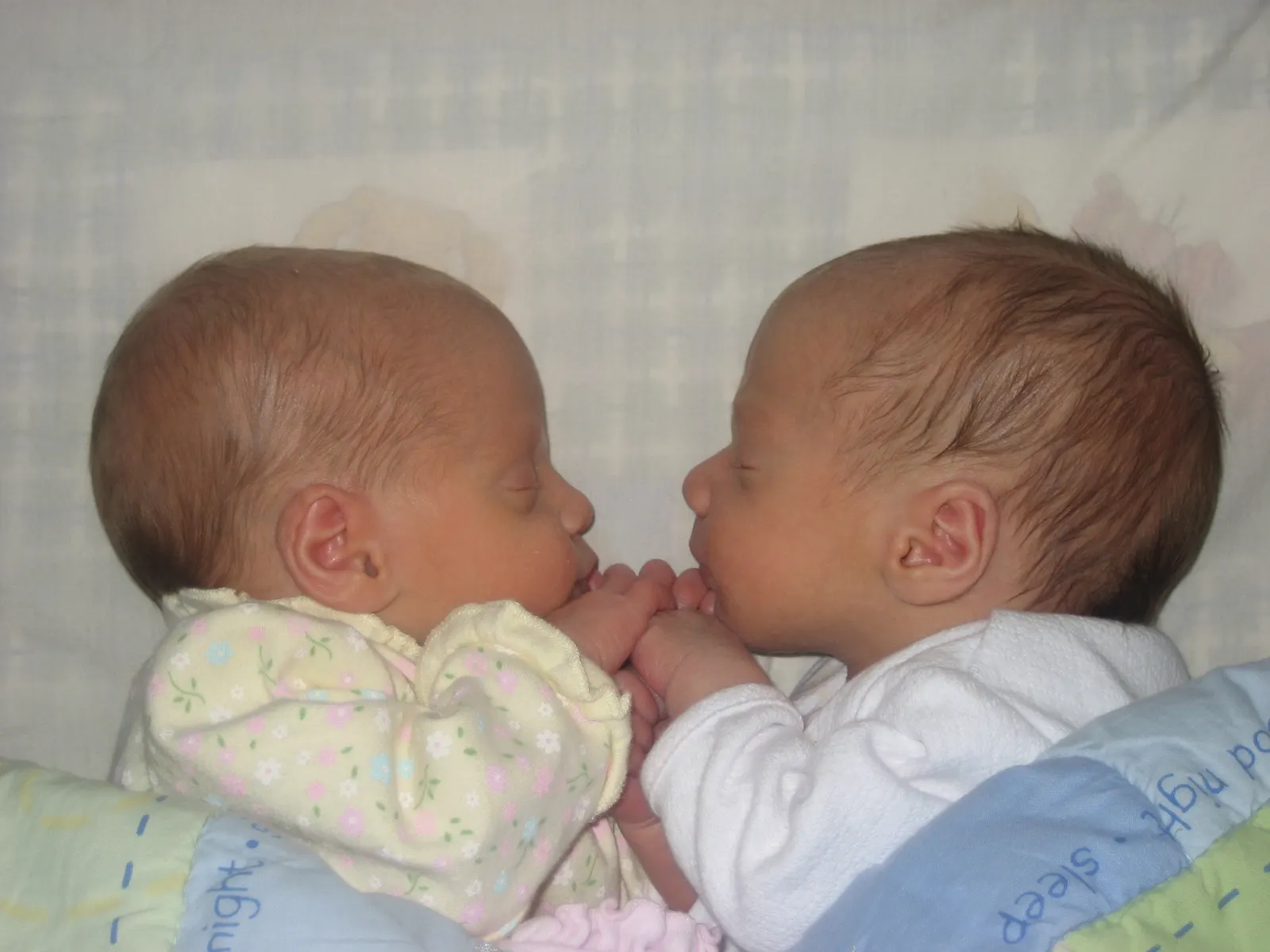 Two newborn twins lying face to face; illustrative photo, not the Colombian case. [Original Commons file](https://commons.wikimedia.org/wiki/File:TwinsTwins.JPG); photographer MultipleParent~commonswiki; CC BY-SA 3.0 Unported or GFDL 1.2+; attribution: MultipleParent / Wikimedia Commons; no alteration.