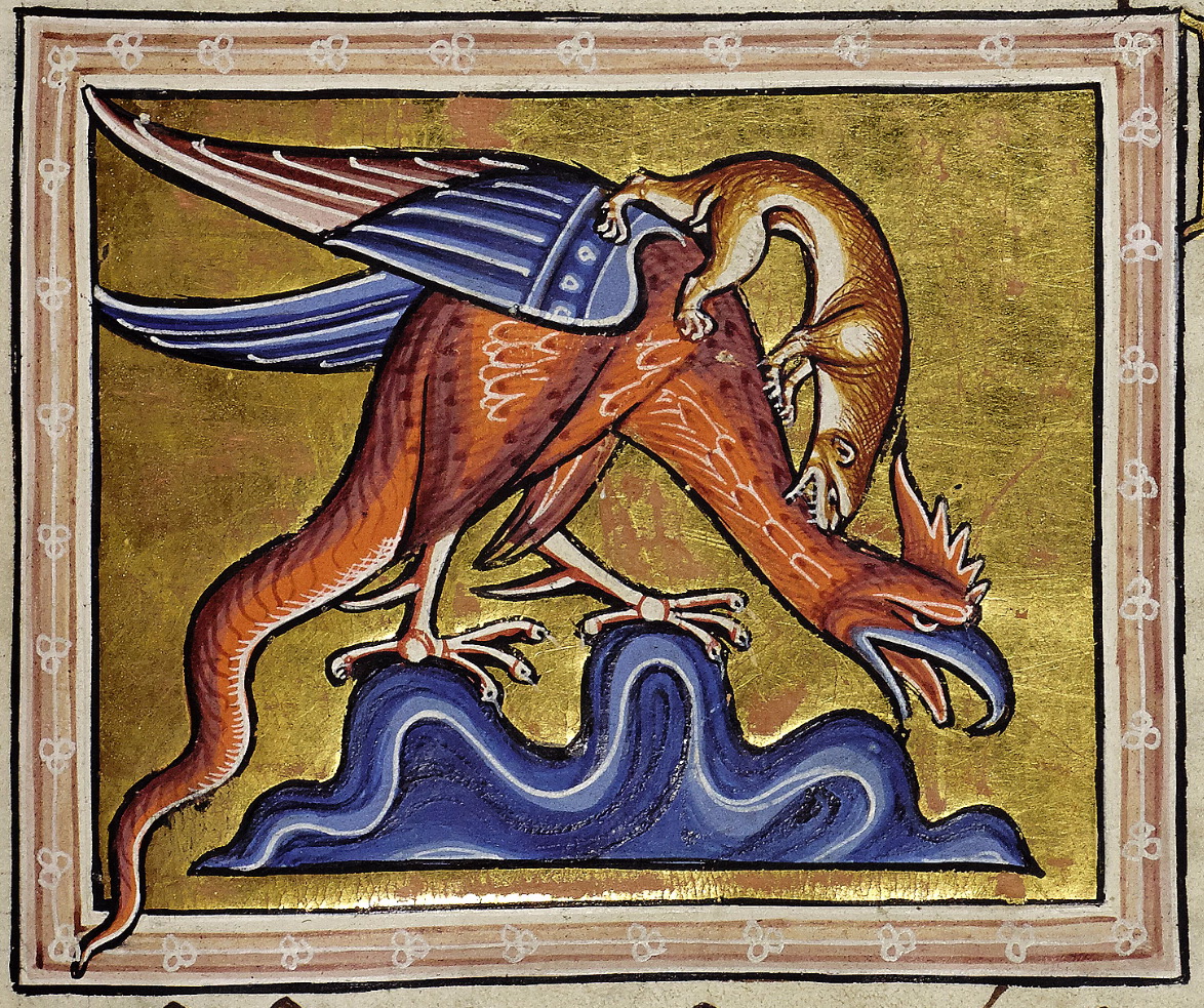 Aberdeen Bestiary, folio 66 detail, 12th-century basilisk. Public domain artwork and faithful reproduction, Aberdeen University Library via Wikimedia Commons: https://commons.wikimedia.org/wiki/File:Aberdeen_Bestiary_Basilisk.jpg. The image illustrates the legendary creature, not the alleged Basel event.