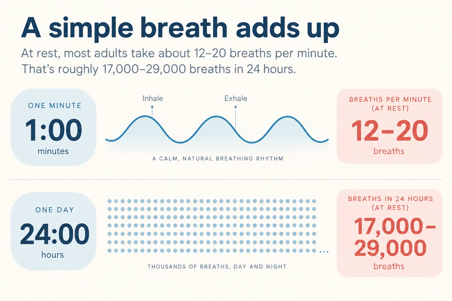 breaths-per-day.webp