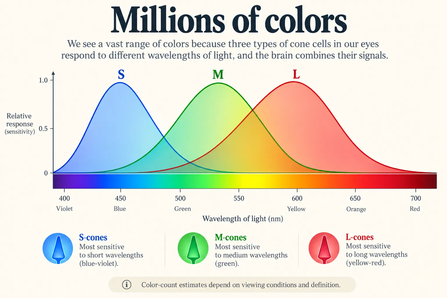 color-vision.webp