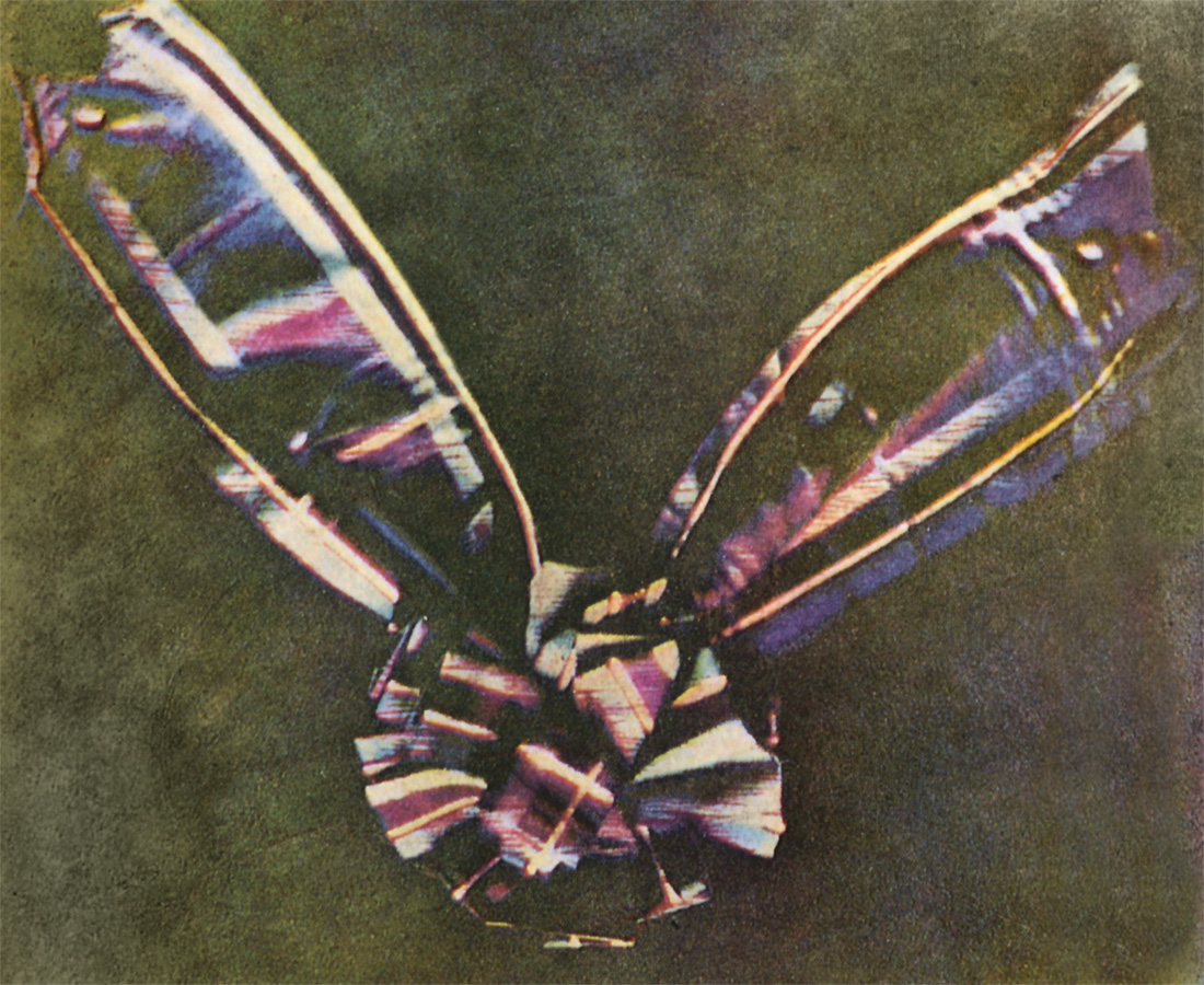 scan of the 1861 tartan-ribbon color photograph.