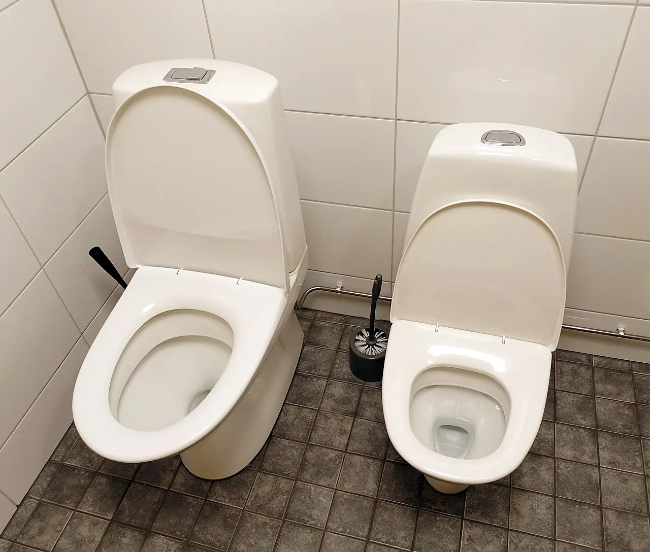 contextual photograph of a normal and a smaller toilet seat at Jari-Pekka Hankasalmi 24h, Finland; not used in Shelley’s attempt. Original page: https://commons.wikimedia.org/wiki/File:Toilet_seats.jpg. Creator Tiia Monto. CC BY-SA 4.0 (https://creativecommons.org/licenses/by-sa/4.0/). Attribution: Tiia Monto, “Toilet seats,” CC BY-SA 4.0, via Wikimedia Commons.