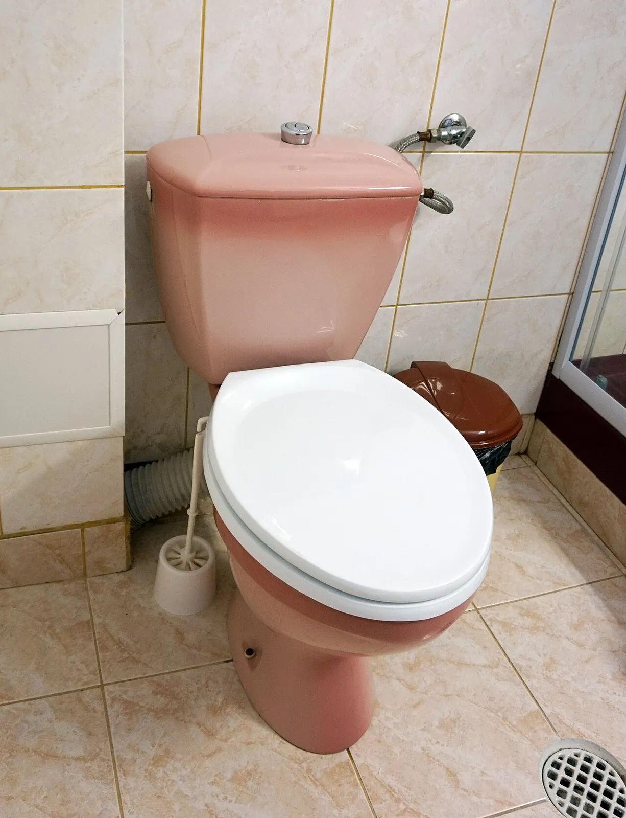 contextual photograph of an ordinary toilet seat in a hotel in Râmnicu Vâlcea, Romania, 21 May 2016; not used in Shelley’s attempt. Original page: https://commons.wikimedia.org/wiki/File:Toilet_seat.jpg. Creator Tiia Monto. CC BY-SA 4.0 (https://creativecommons.org/licenses/by-sa/4.0/). Attribution: Tiia Monto, “Toilet seat,” CC BY-SA 4.0, via Wikimedia Commons.