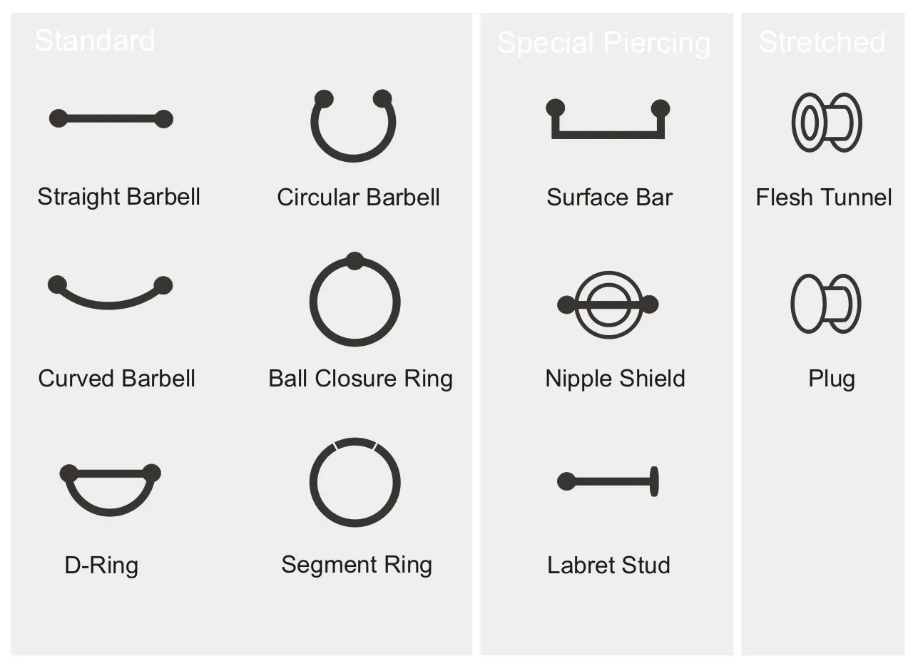 overview of piercing jewelry; contextual, not Buchholz’s personal jewelry. Lamilli, Wikimedia Commons, https://commons.wikimedia.org/wiki/File:Piercing_Jewelry.jpg, CC BY-SA 3.0 (https://creativecommons.org/licenses/by-sa/3.0/). Attribution: Lamilli, “Piercing Jewelry,” CC BY-SA 3.0, via Wikimedia Commons. Original downloaded; checked 2026-10-18.
