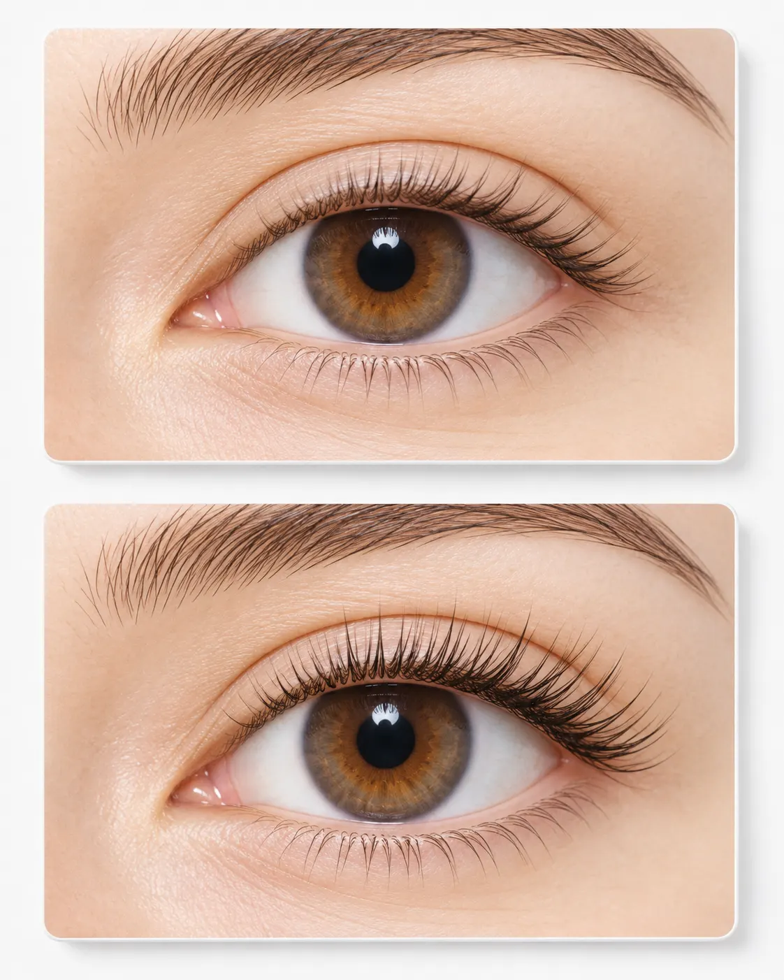 AI-generated symbolic comparison of generic eyelashes at two different lengths, reflecting the fact’s historical and later measurement context; not You Jianxia and not an official comparison. Prompt: “Photorealistic vertical 4:5 editorial still life of two clean medical illustration panels showing generic natural upper eyelashes at different lengths, arranged as a visual comparison on a white studio surface. No actual people identified, no measurements or words, no cosmetics, no medical instruments touching an eye. The panels are symbolic illustrations only and do not depict You Jianxia or certify any record.” Generated 20 October 2026.