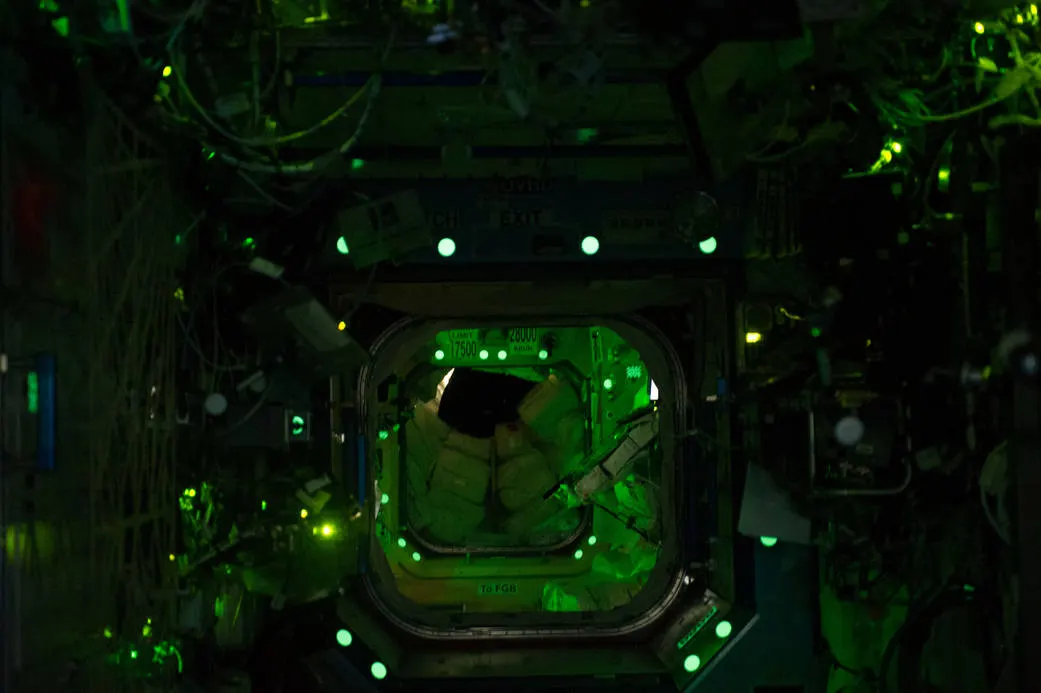 NASA image ISS038-E-006151, station interior while the crew is asleep, photographed by an Expedition 38 crew member on 20 November 2013. NASA credit; U.S. federal public-domain work. Source: https://www.nasa.gov/image-article/space-station-while-crew-asleep/. Documentary depiction of the crew’s sleep lighting.