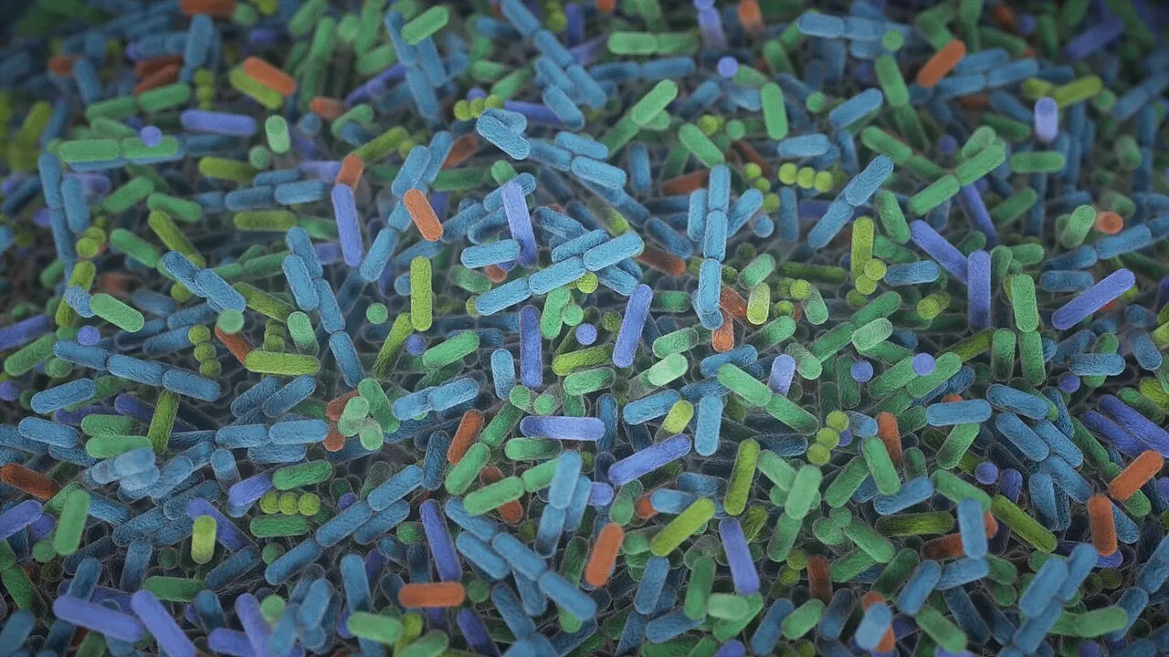 NIH illustration of bacteria and other microbes in the human gut; conceptual, not a literal sample or image of all disease-causing bacteria. Source: https://commons.wikimedia.org/wiki/File:Bacteria_in_the_gut.jpg . Original NIH Flickr source: https://www.flickr.com/photos/nihgov/53006111880/ . NIH Image Gallery credit Donny Bliss; CC BY 2.0. Downloaded 1280-pixel-wide derivative. Checked 2026-10-16.