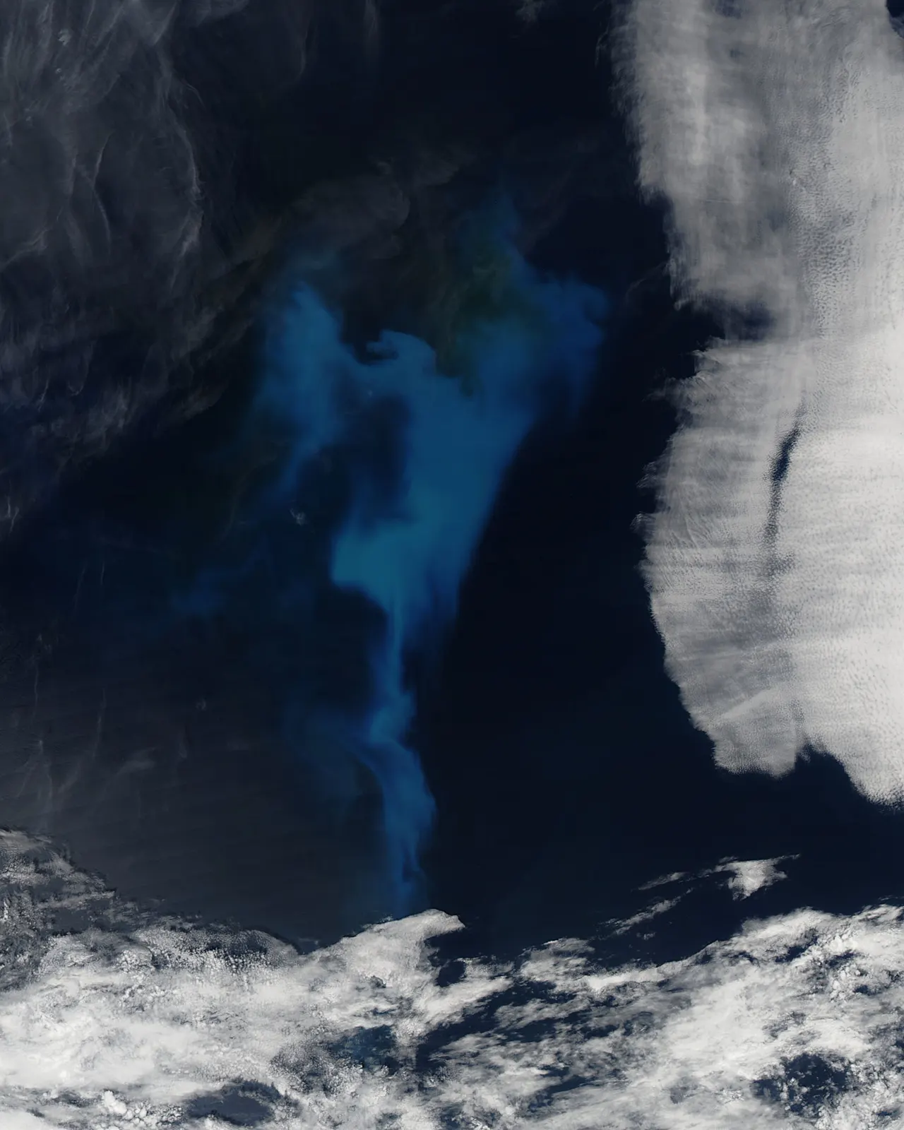 NASA satellite view of a phytoplankton bloom in the North Atlantic.