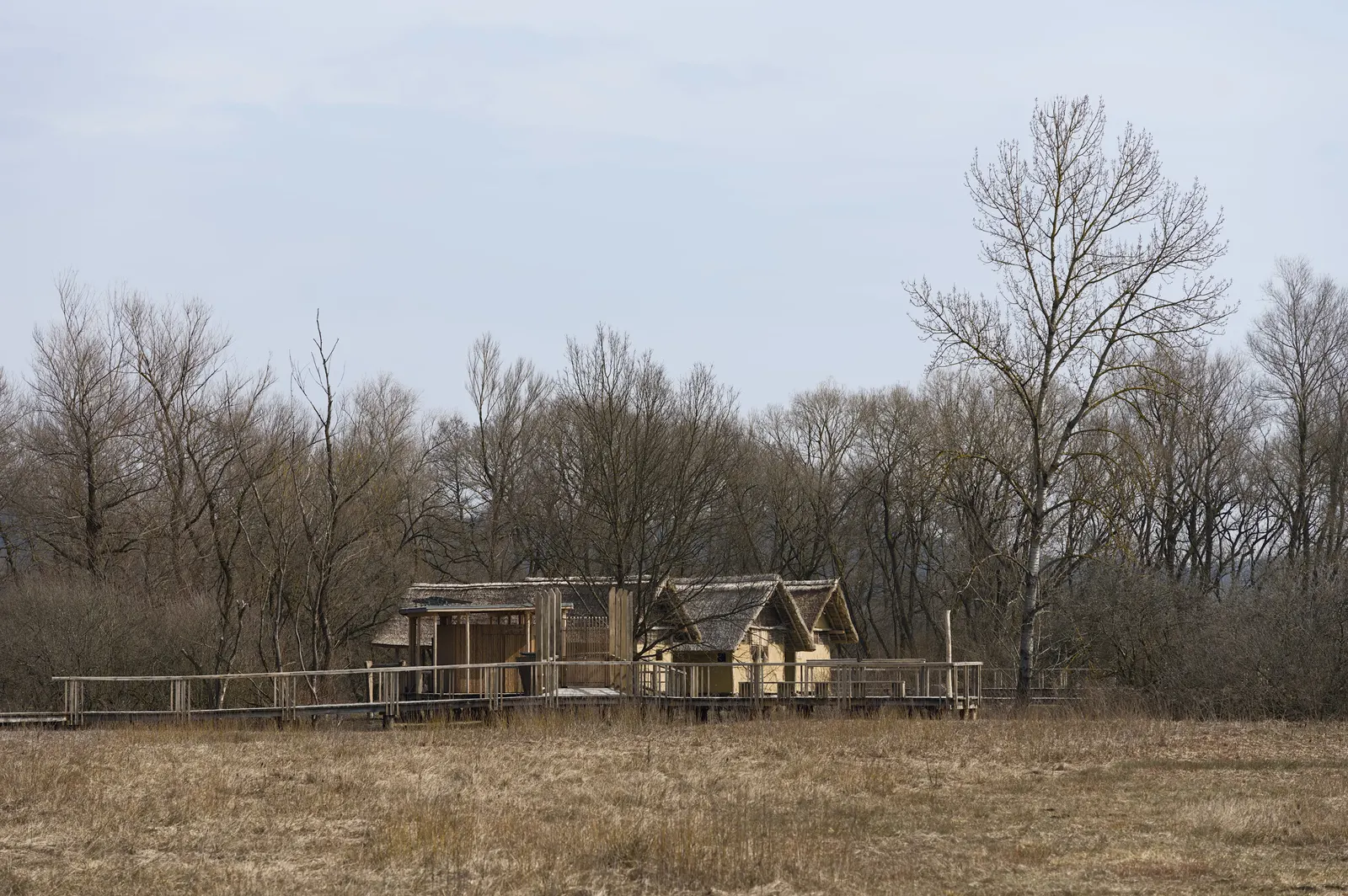 оптимізовано з `media/pile-dwelling-barje.jpg`: 4134×2749 px (половина початкової ширини й висоти), JPEG quality 82.