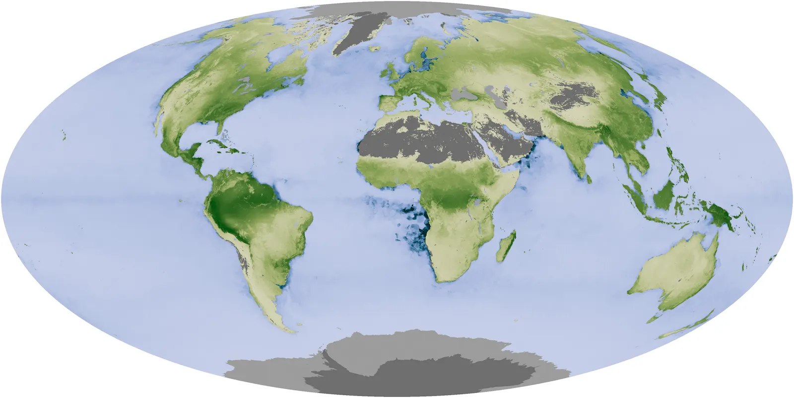 NASA MODIS maps of net plant productivity for August and December 2010, illustrating seasonal variation in land carbon uptake.
