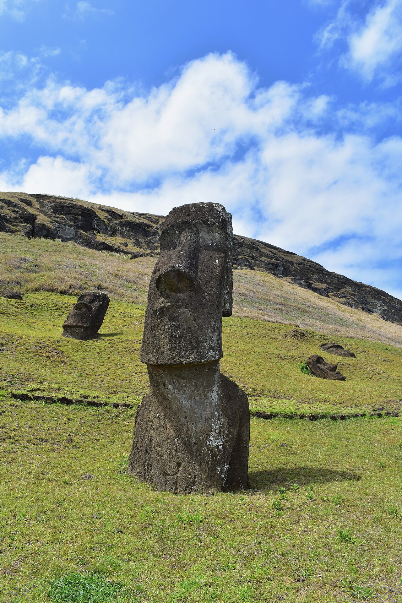moai at Rano Raraku by Mc vc, Wikimedia Commons, CC BY-SA 4.0. [Source](https://commons.wikimedia.org/wiki/File:Moai_at_Rano_Raraku_(Easter_Island).jpg). Visually checked. It illustrates the landscape and partially buried statues; it is not the 1919 excavation photograph.