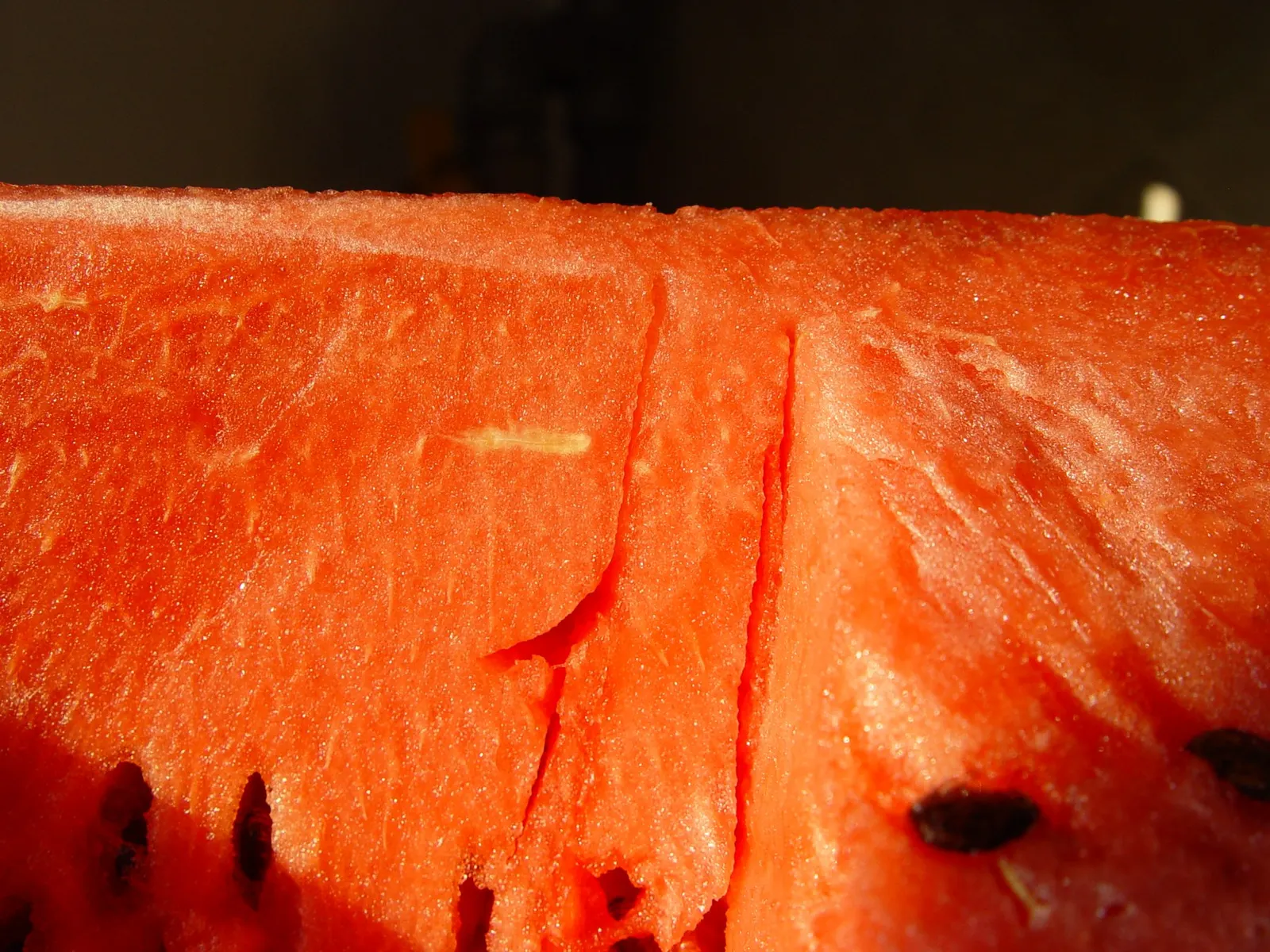 close-up photograph of watermelon flesh, by P.gibellini, CC BY-SA 3.0. Original Commons record: https://commons.wikimedia.org/wiki/File:Citrullus_lanatus_01.jpg. Attribution: P.gibellini, CC BY-SA 3.0, via Wikimedia Commons. Original 2560×1920 px; resized proportionally to fit 1800 px and saved as optimized JPEG quality 88. Visually inspected 2026-10-18.