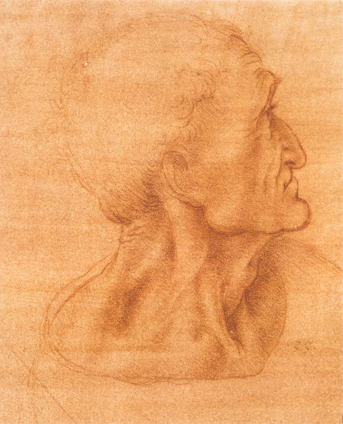 Leonardo da Vinci’s circa-1495 study for Judas, held at the Royal Library, Windsor Castle; public-domain two-dimensional artwork reproduction (Wikimedia Commons page states PD-Art/Public Domain Mark). Credit Leonardo da Vinci; attribution not required by license, institution identified by National Gallery catalogue. Original page: https://commons.wikimedia.org/wiki/File:Leonardo_da_vinci,_Study_for_the_Last_Supper_head.jpg. Downloaded 2026-10-28; no edits.