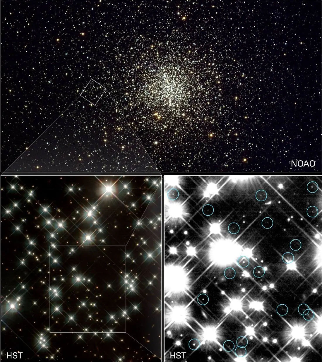 Hubble зображення кулястого скупчення M4 із виділеними блакитними колами білими карликами; NASA та H. Richer (University of British Columbia), широке поле NOAO/AURA/NSF. NASA Photojournal asset PIA04231, JPEG 1100×1237; перевірено 2026-10-20. Джерело: [сторінка NASA White Dwarf Stars](https://science.nasa.gov/photojournal/pj-white-dwarf-stars/). Кредитувати NASA та H. Richer; внесок NOAO/AURA/NSF стосується верхнього панорамного зображення.