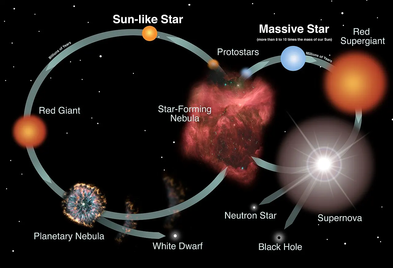 NASA/ESA/CSA lifecycle graphic comparing Sun-like and massive stars and their possible remnants. Public domain in the United States as agency-created material. [Commons file page](https://commons.wikimedia.org/wiki/File:Lifecycles_of_Sun-like_and_Massive_Stars_(4190-Image).jpeg). JPEG preview 1280×875; checked 2026-10-16. It is a broad schematic; the exact remnant depends on a star’s mass and evolution.