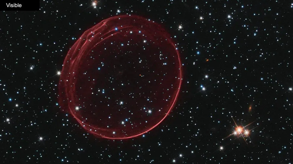 видиме світло від кільцевого залишку наднової SNR 0509-67.5, зняте Hubble; NASA, ESA та Hubble Heritage Team (STScI/AURA), подяка J. Hughes. JPEG 985×550, перевірено 2026-10-20. Джерело: [сторінка NASA Supernova Remnant (SNR) 0509](https://science.nasa.gov/image-detail/hubble-explore-light-supernova-remnant-visible-1/). Кредитувати NASA, ESA, Hubble Heritage Team і J. Hughes. Це зображення залишку наднової типу Ia, пов'язаної з білим карликом у подвійній системі, а не типовий результат колапсу ядра масивної зорі.