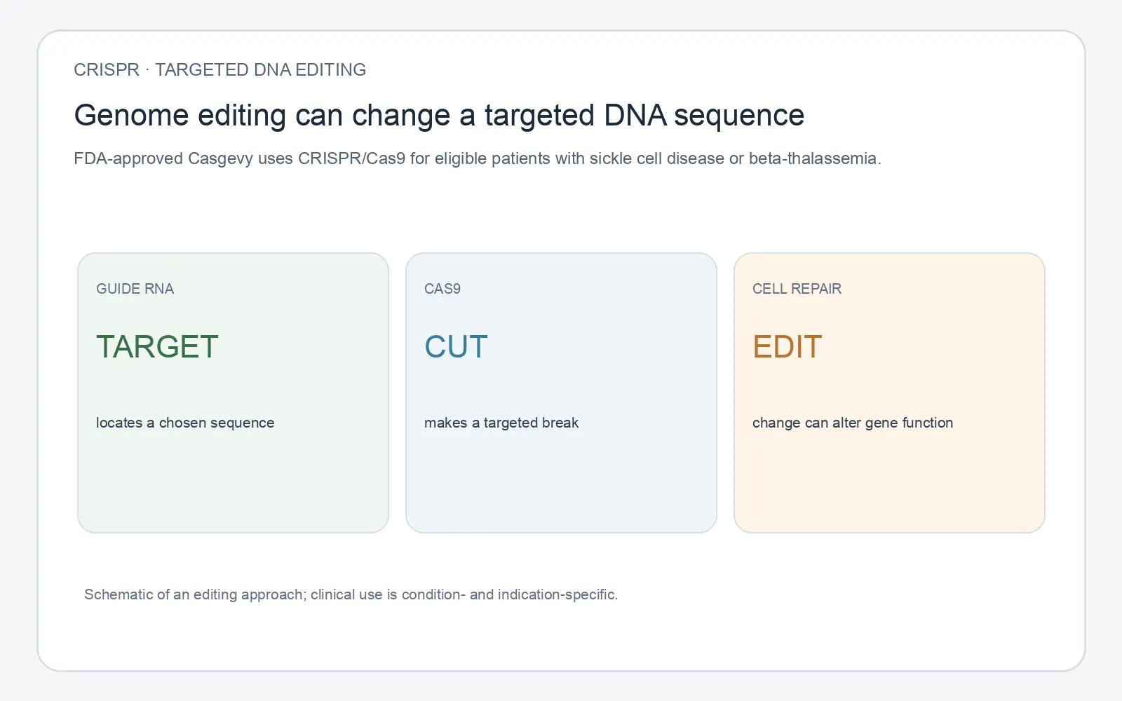 інфографіка про guide RNA, розріз Cas9 і клітинне відновлення ДНК; не зображує пацієнта чи результат лікування.