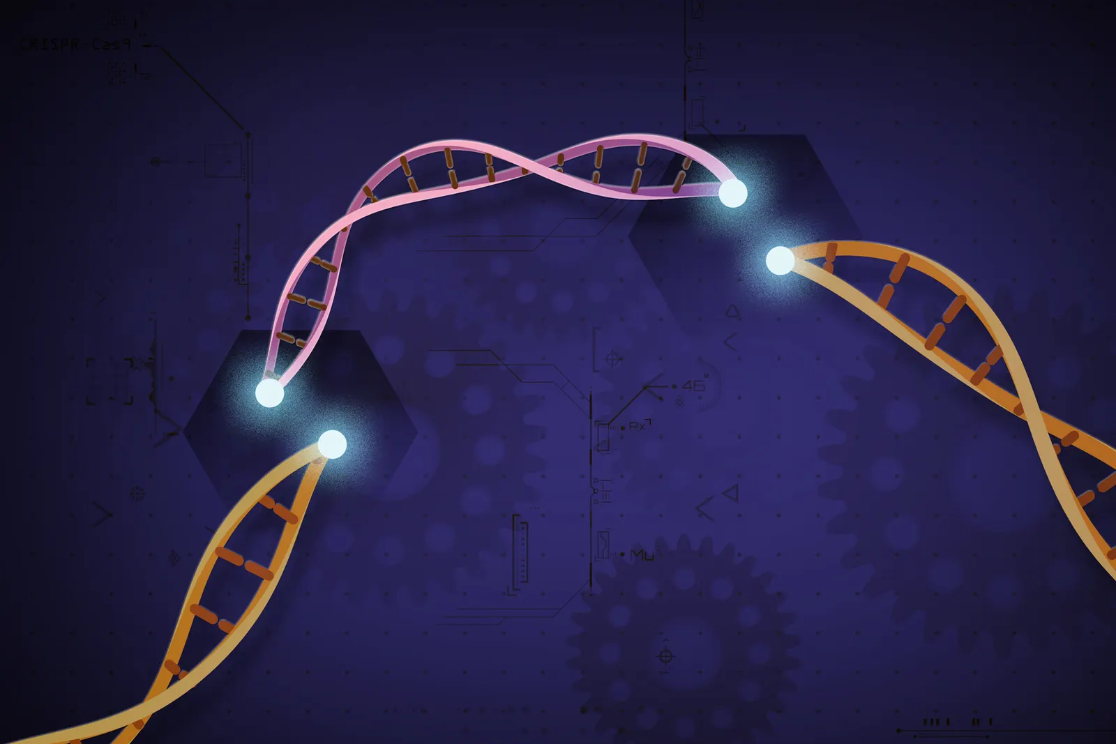цифрова ілюстрація комплексу CRISPR-Cas9, що знаходить цільову ділянку ДНК; не мікрофотографія молекулярного комплексу.
