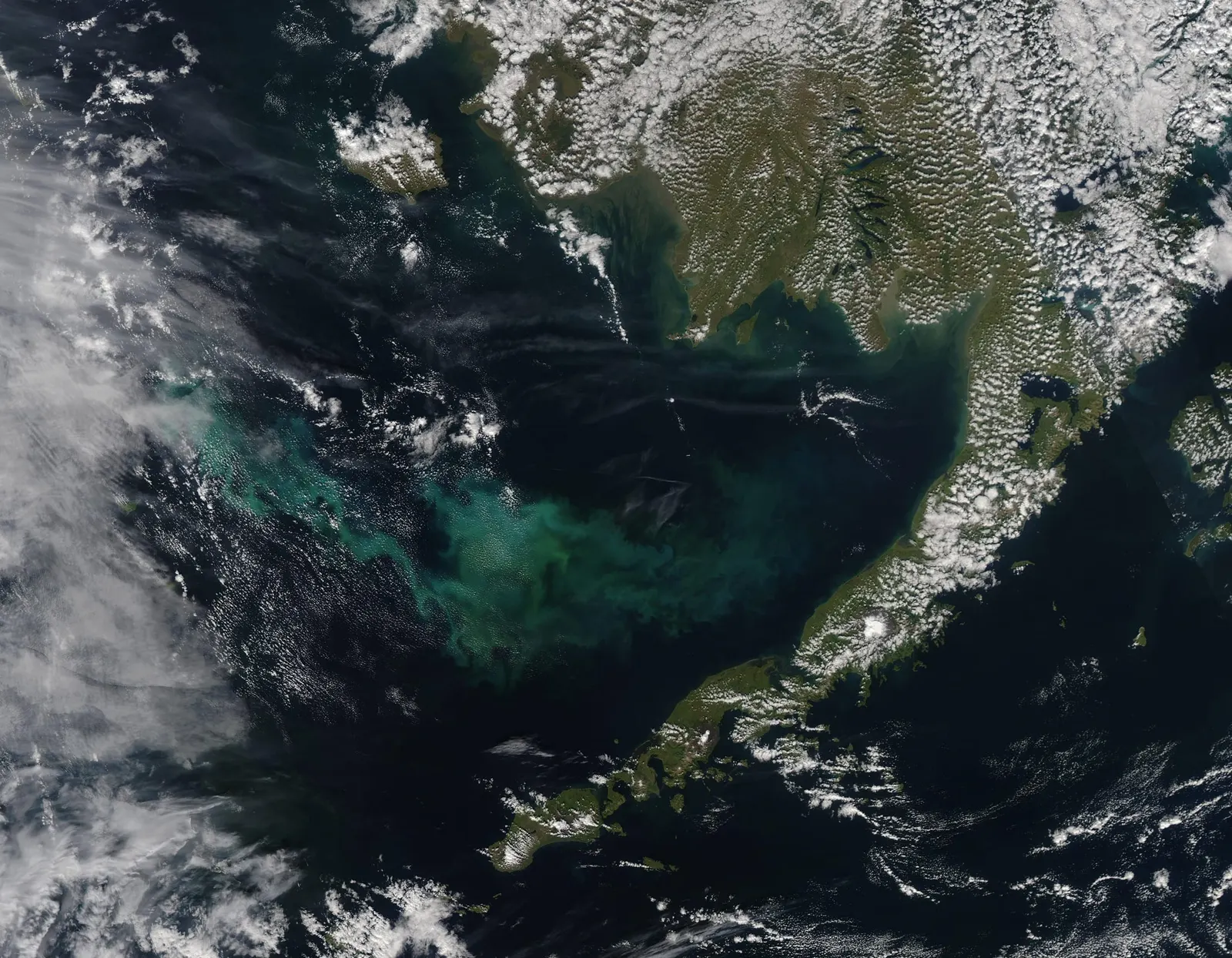 цвітіння фітопланктону в Беринговому морі біля Аляски, знімок MODIS супутника NASA Aqua, 4 вересня 2020 року. Дає приклад океанічної фотосинтезувальної біомаси в глобальному кисневому циклі.