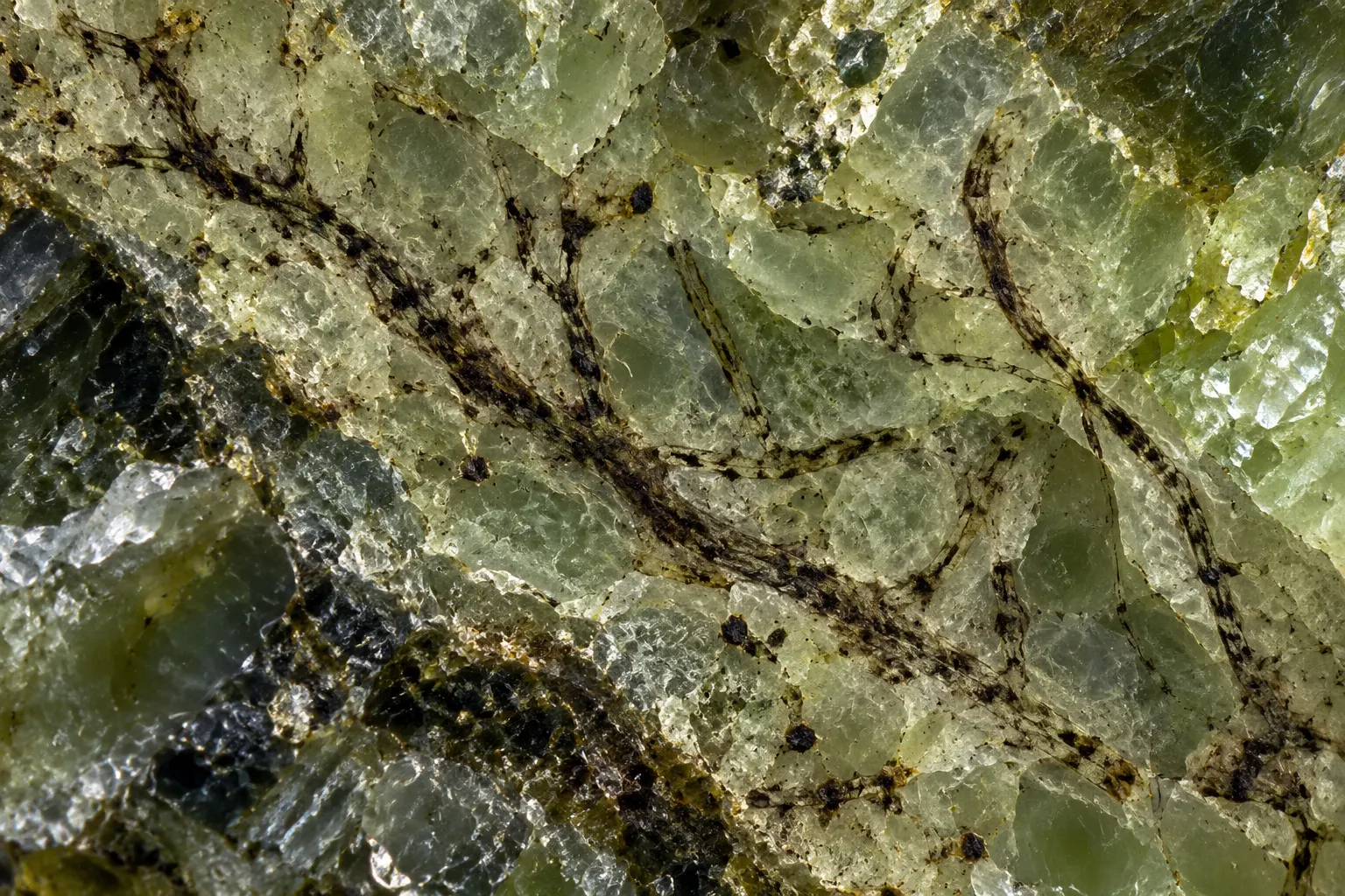 AI-generated mineral texture with filament-like forms. OpenAI image generation, 2026-10-28. Prompt: Scientific editorial microscopy-style illustration of thin filament-shaped possible microfossils embedded in ancient mineral rock, translucent green-gray mineral matrix with a few dark branching filaments, high-detail realistic petrographic texture, dramatic side lighting, no text, scale bar, labels, logos, watermark, or collage; illustrative, not a reproduction of published micrographs or actual data.